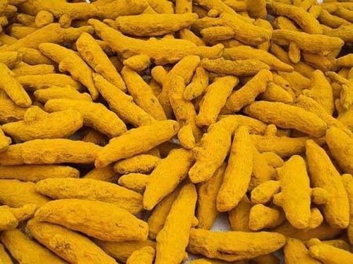 Raw Turmeric Fingers